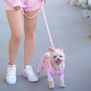 Pink Adidog jumper